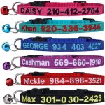cat collar personalized