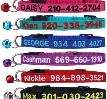 cat collar personalized