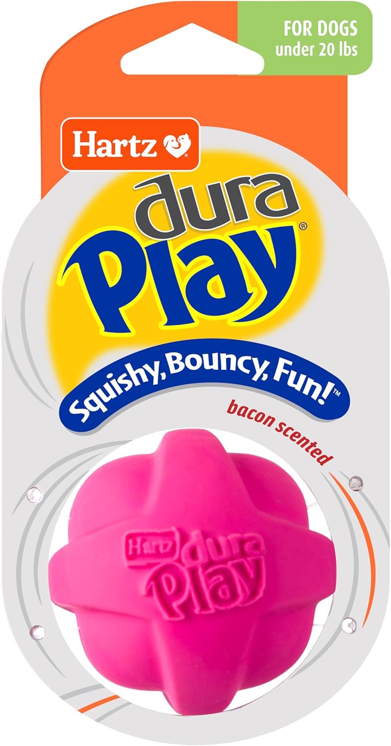 small pet toys amazon best
