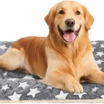 cheap dog beds large