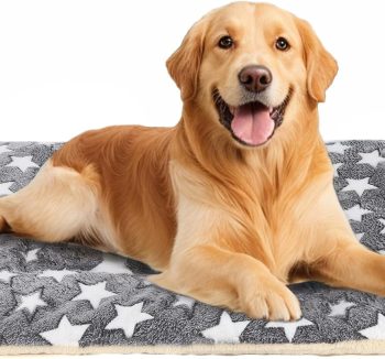 cheap dog beds large
