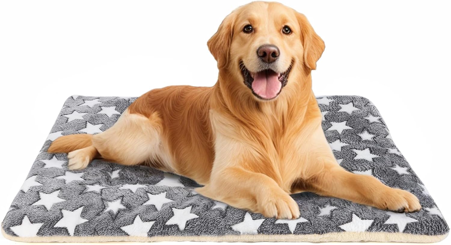 cheap dog beds large