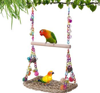 bird hanging swing