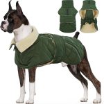 dog apparel luxury