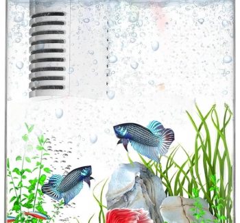 small fish tank desktop