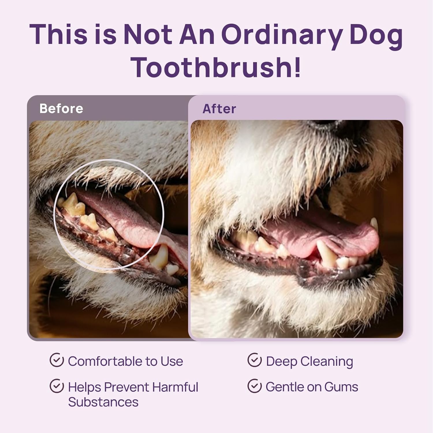 HICC PET Toothbrush for Cats & Small Dogs, Vet-Recommended Ergonomic Pet Toothbrush for Easy Teeth Cleaning, Gentle on Gums, Cat & Dog Dental Care, Improves Oral Hygiene. Toothpaste Not Included - Happypetzone.online - Image 3