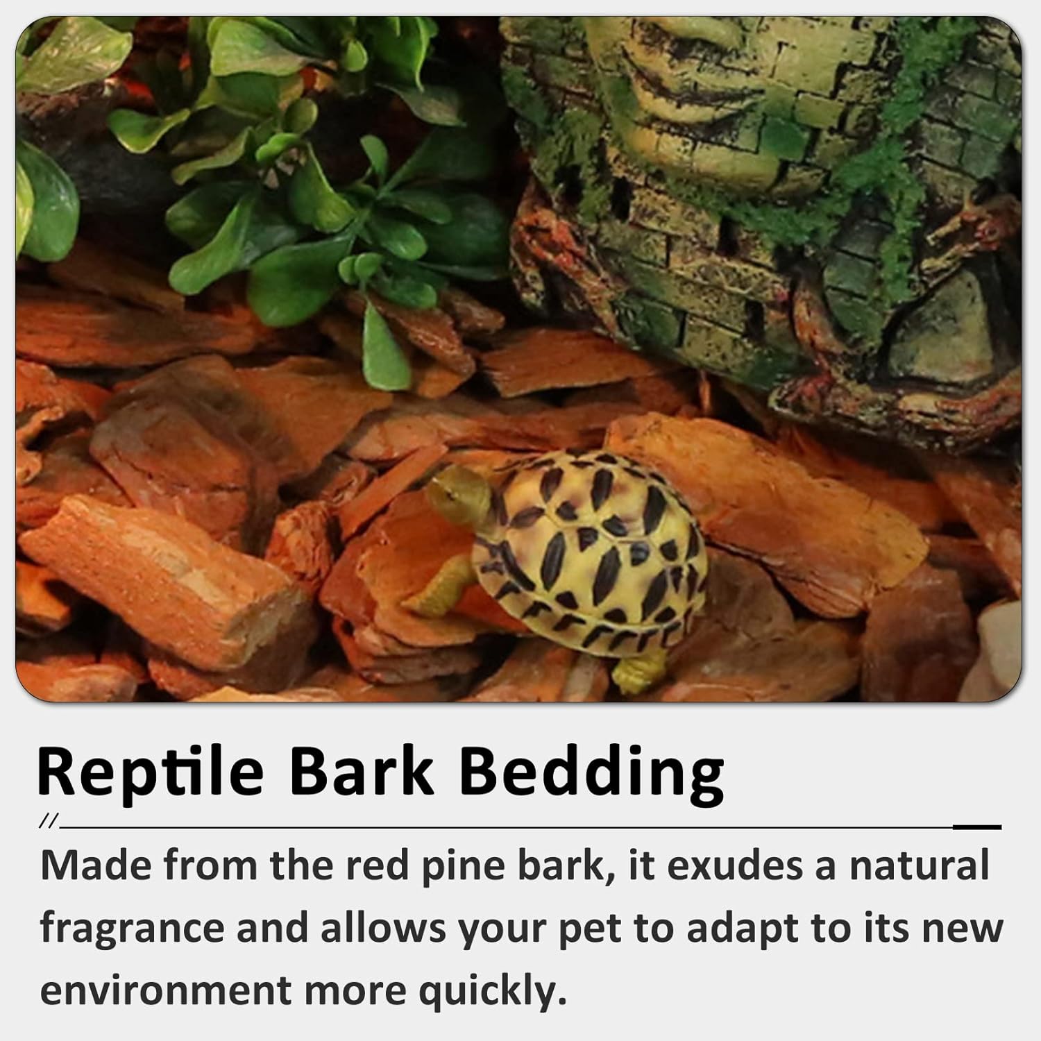 Hamiledyi Reptile Bark Bedding Tortoise Habitat Substrate Natural Terrarium Bark Wood Chips Tank Supplies for Snake Spiders Bearded Dragons Hermit Crabs Geckos - Happypetzone.online - Image 3
