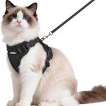 cat harness escape proof