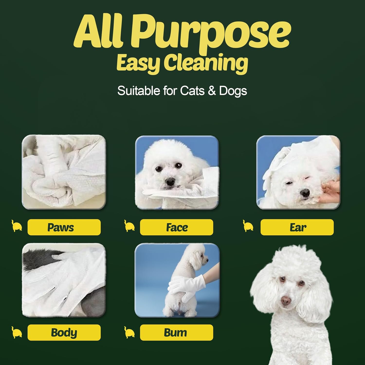 Petazy Dog Wipes for Paws and Butt – 400 Count (8x8in) Hypoallergenic, Deodorizing Pet Wipes for Dogs and Cats | Extra Large, Plant-Based, Lavender Scented | Includes 4 Grooming Glove Wipes - Happypetzone.online - Image 3