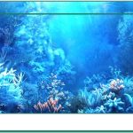 fish tank background decor