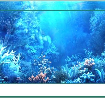 fish tank background decor