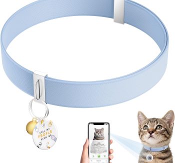cat collar with name tag