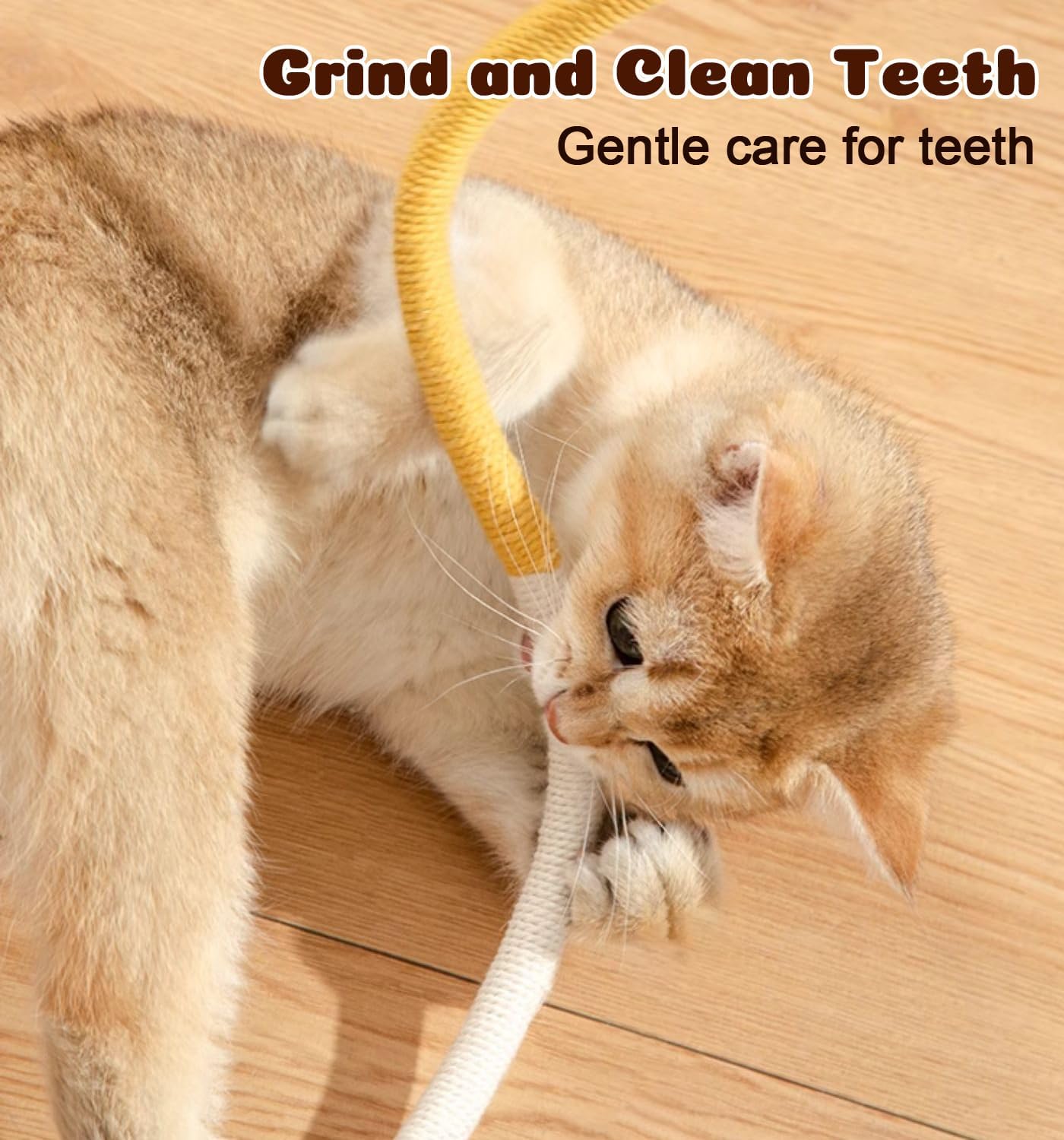 Cat Chew Ropes 4Pcs, Cat Toys for Indoor Cats with Refillable Natural Catnip, Safe Teeth Cleaning Chew Toys, Interactive Kitten Nip Toys and All Breeds (19.5 Inches) - Happypetzone.online - Image 4