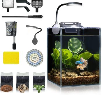 small fish tank desktop