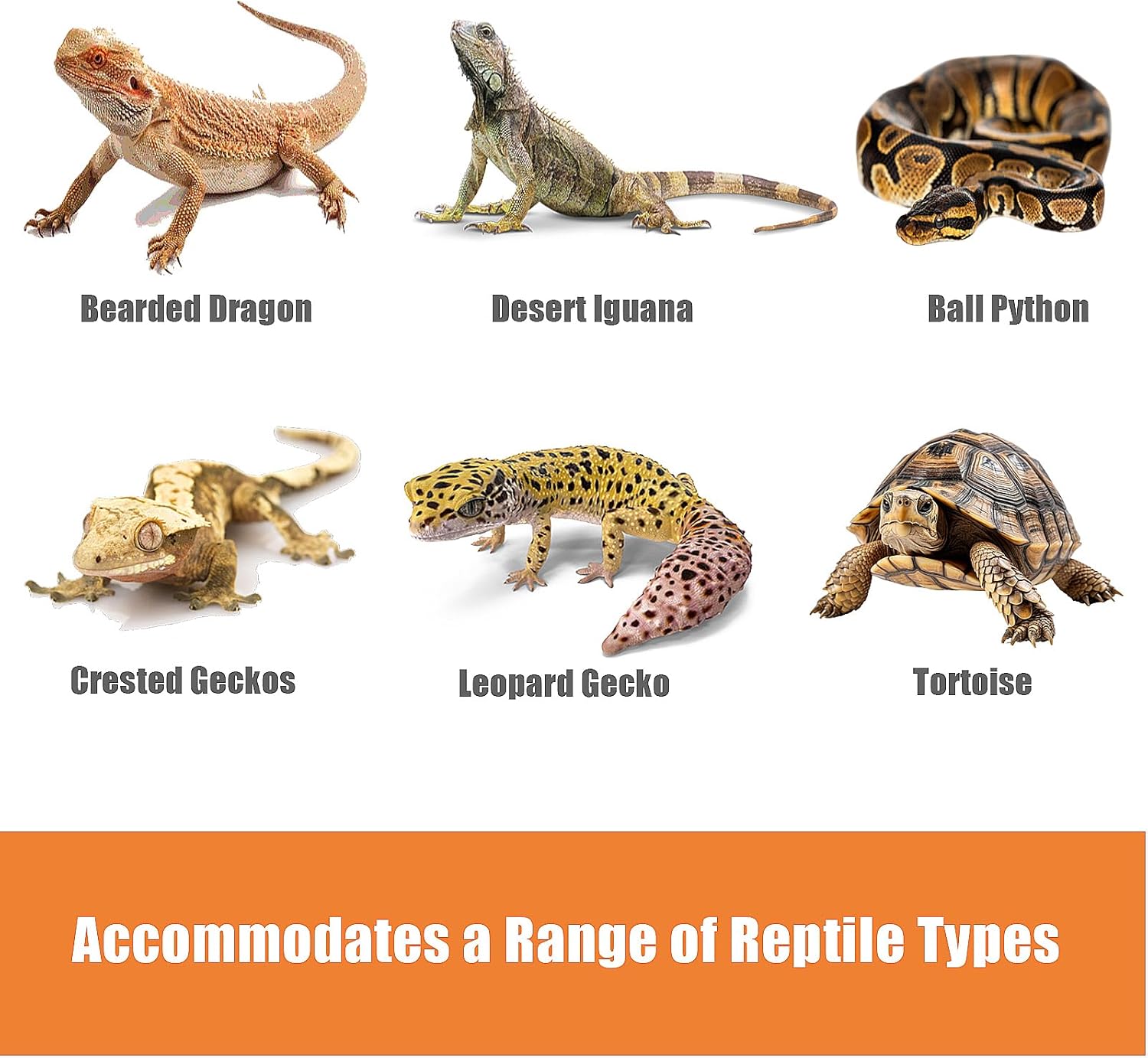 Bearded Dragon Tank Accessories, Reptile Terrarium Liner, Bearded Dragon Substrate Bedding for 40 Gallon 50 Gallon 75 Gallon Reptile Tank - Happypetzone.online - Image 5