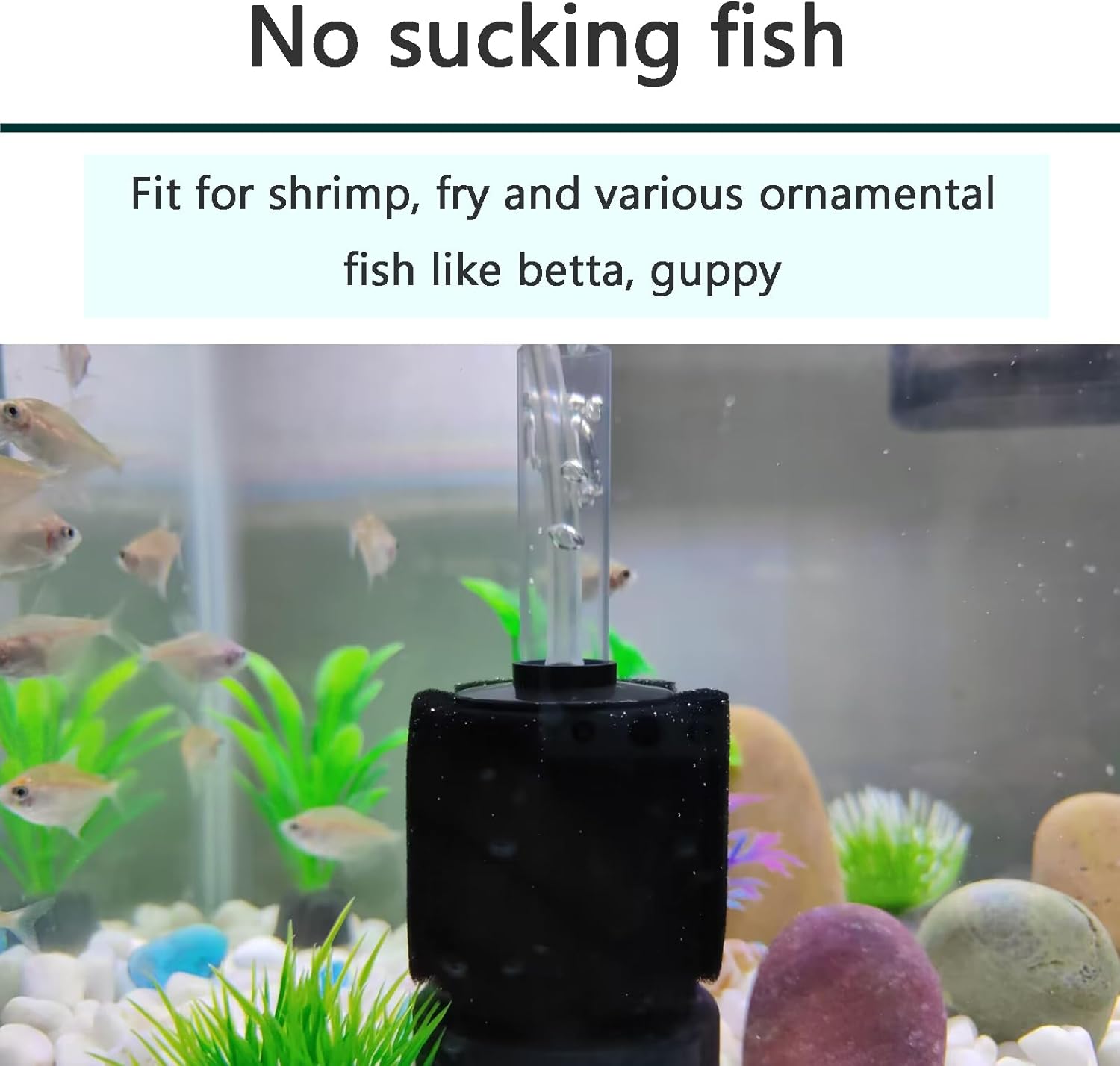 AQUANEAT 3 Pack Aquarium Bio Sponge Filter Breeding Fry Betta Shrimp Nano Fish Tank (Small up to 10Gal) - Happypetzone.online - Image 6