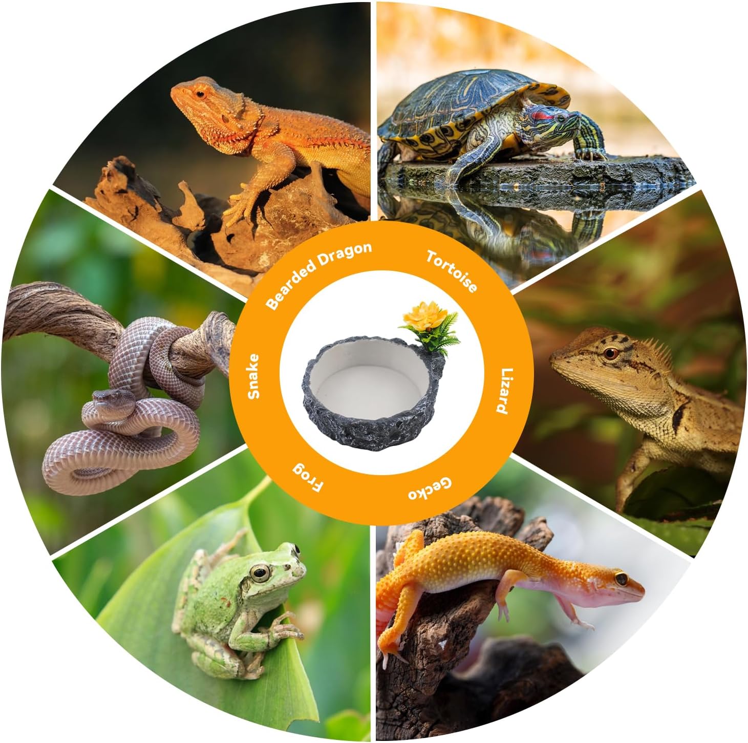 Reptile Food Bowl with Artificial Plant,Rock Reptile Water Dish Bearded Dragon Feed Terrariums Dish for Snake Tortoise Chameleon Hermit Crabs Turtle Leopard Gecko Frog - Happypetzone.online - Image 8