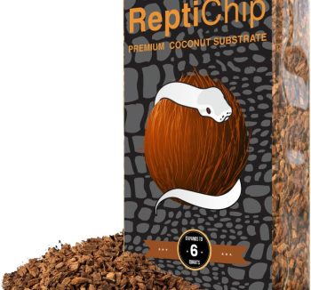 reptile bedding soft safe