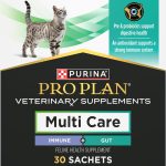 cat immune booster