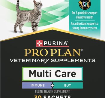cat immune booster