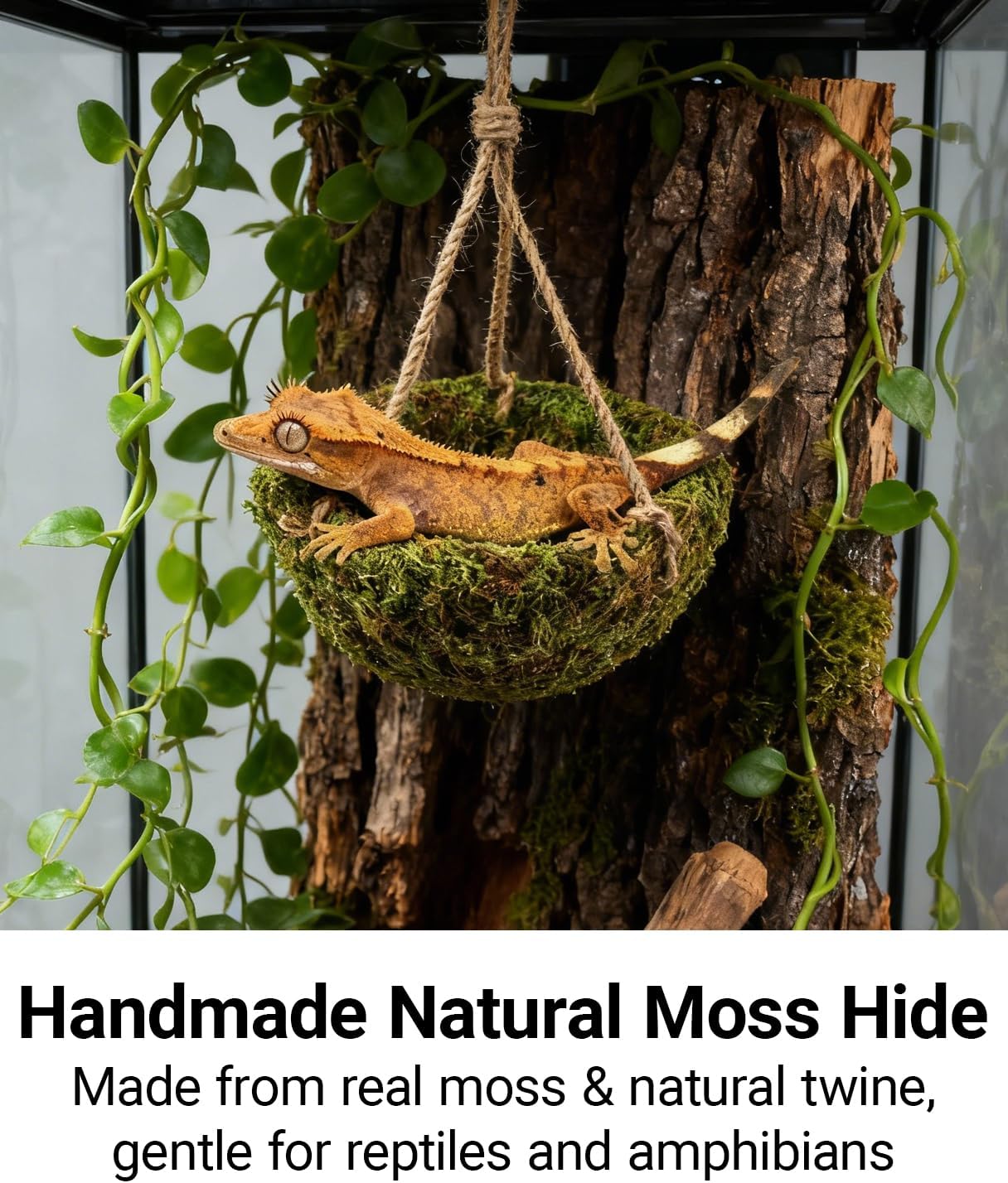 Handmade Crested Gecko Tank Decor – Hanging Shelter for Bearded Dragon Accessories, Reptile Hammock, Hermit Crab, Snake and Other Small Reptiles - Happypetzone.online - Image 2