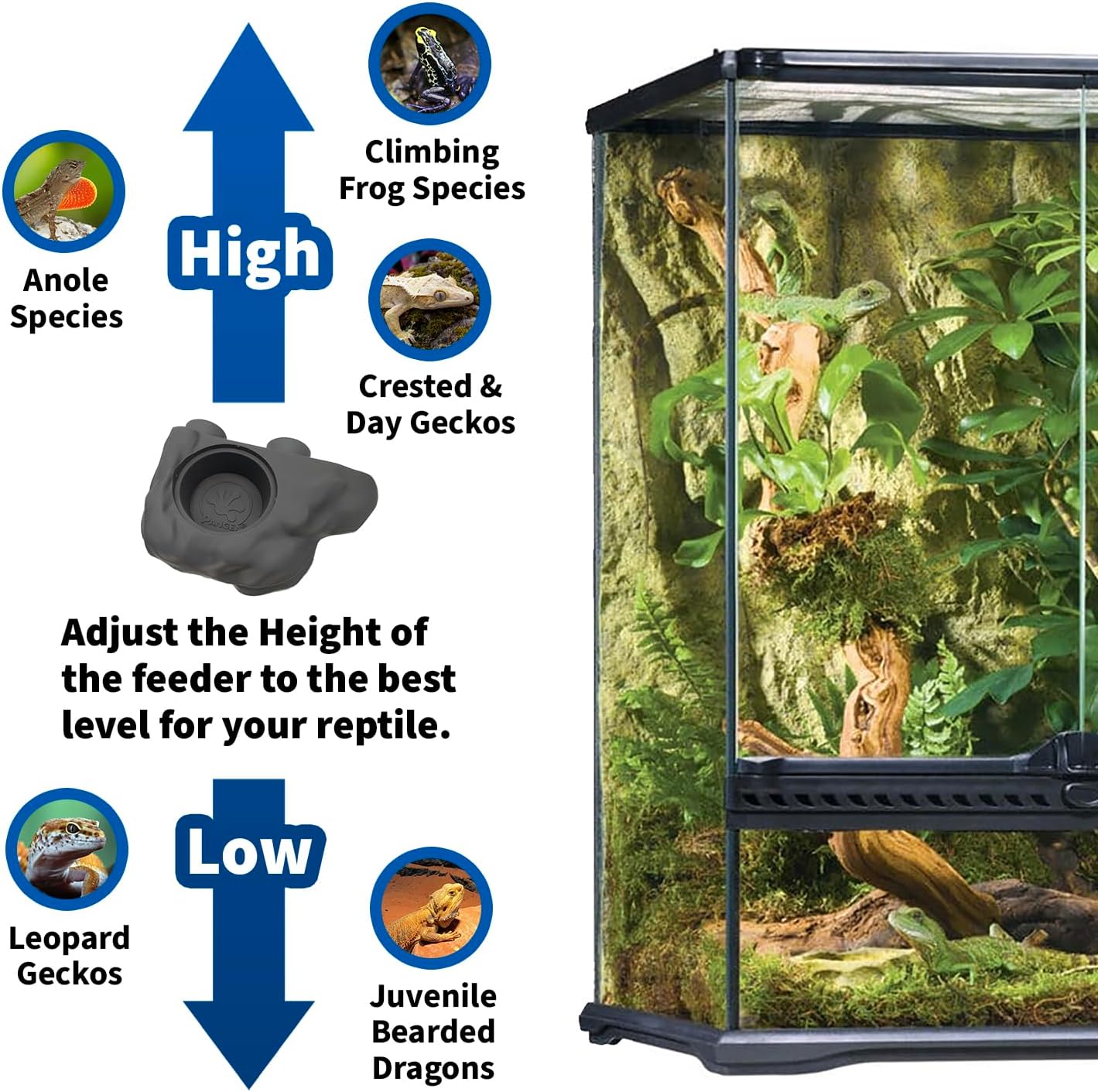 Pangea Silicone Gecko Feeding Ledge - Magnetic Mini Food Dish for Reptile Tank - 4.125" x 2.625" x 1.18" - Fits 0.5oz Cups (Black) - Happypetzone.online - Image 6