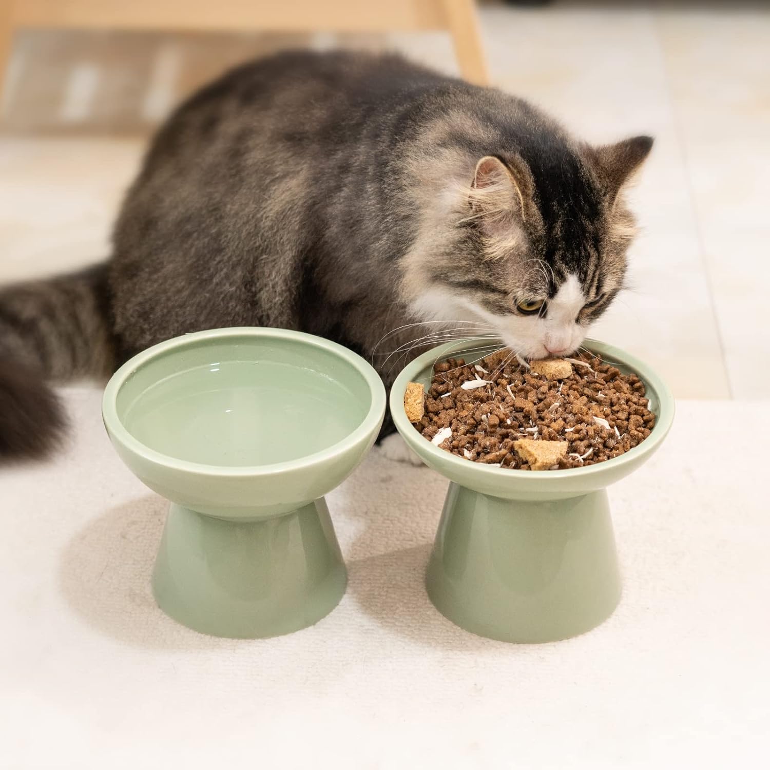 CEEFU 2 Elevated Ceramic Cat Bowls Extra Wide for Food & Water – Whisker Fatigue Shallow Food Dish, Lead & Cadmium-Free, Raised Height for Cats, Sage Green - Happypetzone.online - Image 7