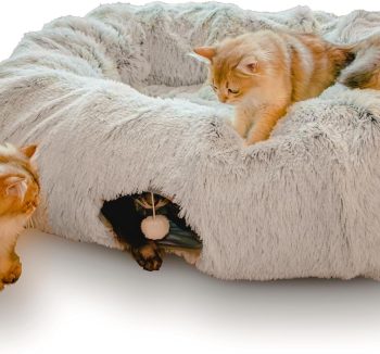 cat bed for large cats