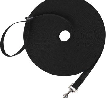 dog leash training