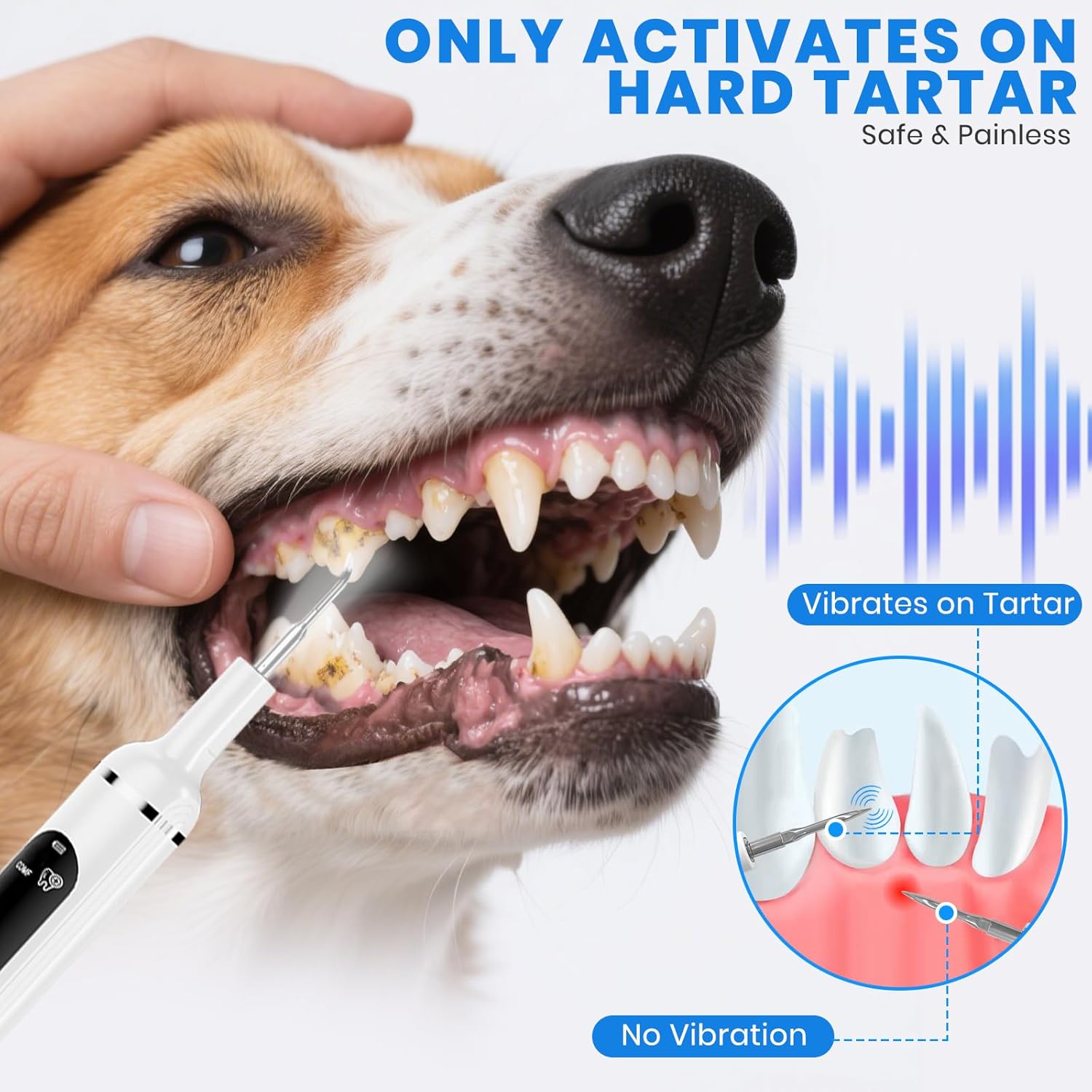 Dog Plaque Remover for Teeth,Pet Tooth Cleaner with LED Light,Cleaning Kit for Tartar and Stains,5 Adjustable Modes,Pet Teeth Cleaning kit,Suitable for Dogs and Cats (White) - Happypetzone.online - Image 2