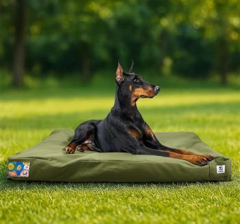 large dog bed washable