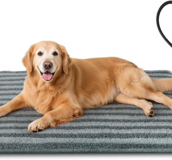 heated dog bed winter