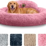 dog sofa bed