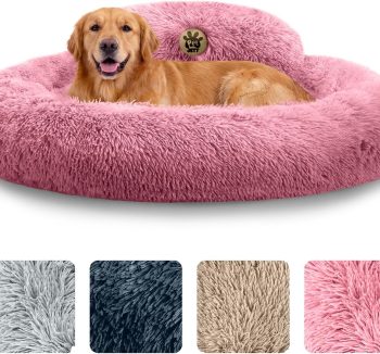 dog sofa bed