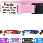 cat collar with name tag