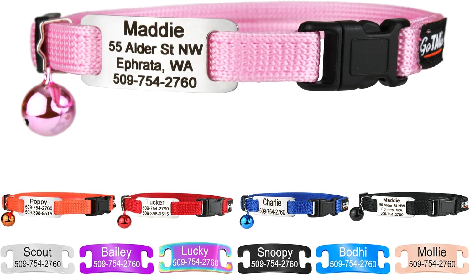 cat collar with name tag