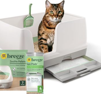 cat litter odor control
