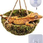 reptile accessories amazon best