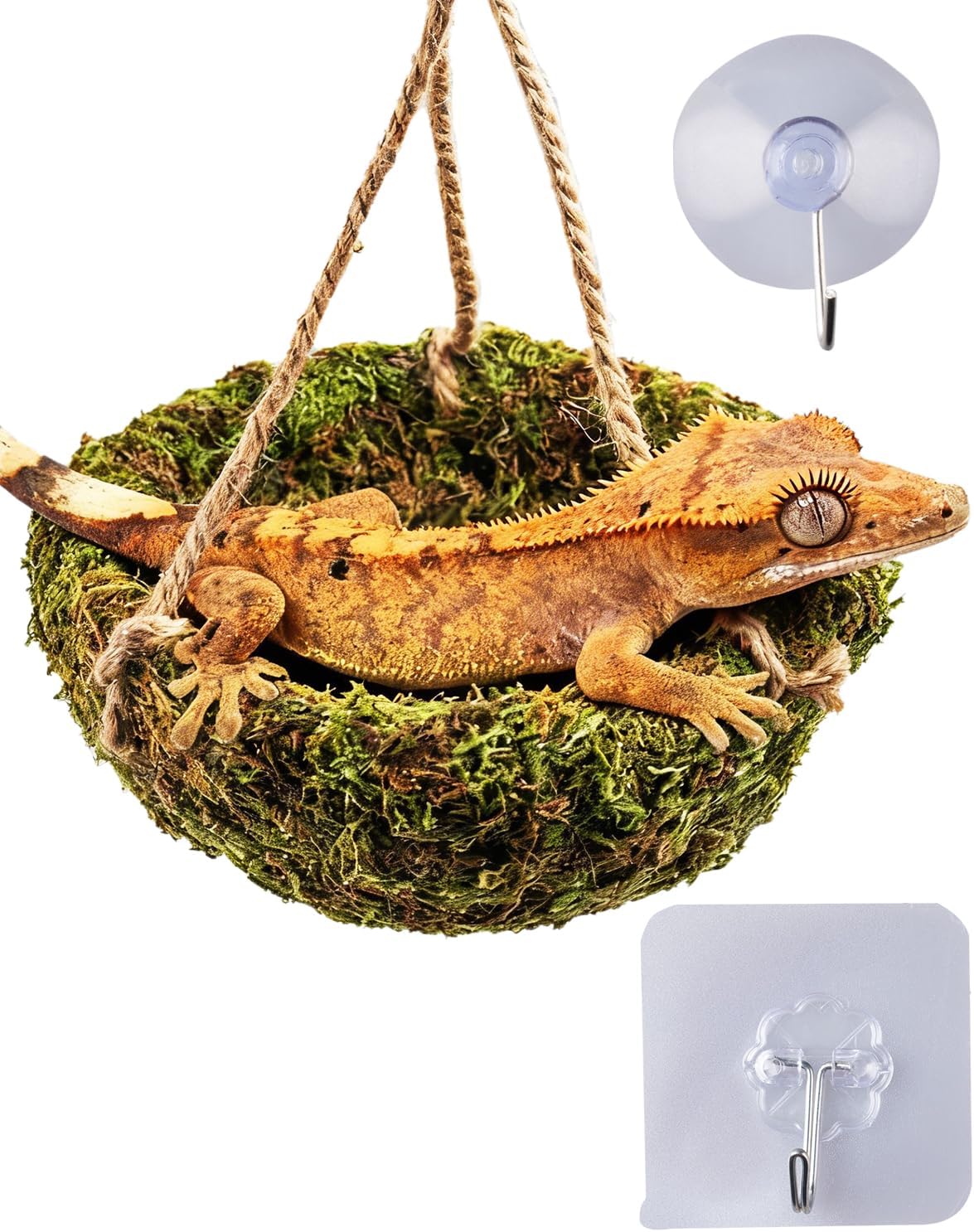 reptile accessories amazon best