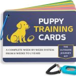 puppy training kit