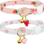 cat collar for kittens