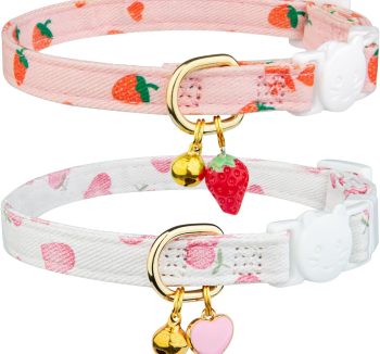 cat collar for kittens