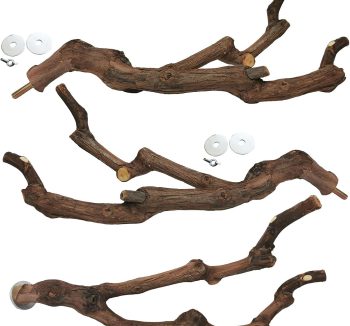bird perch natural wood