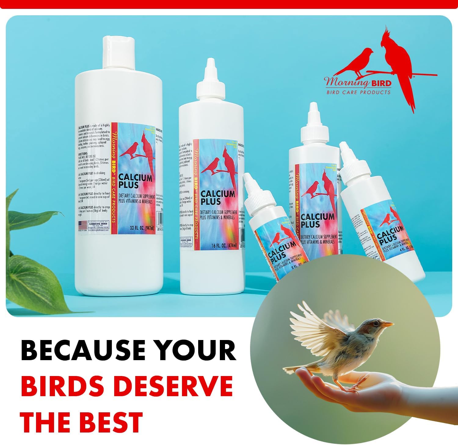 Morning Bird Calcium Plus Liquid for Birds – Calcium Supplement with Vitamins and Minerals for Strong Eggshells, Healthy Bones - Support Growth, Breeding, and Wellness for All Birds 4 Fl Oz - Happypetzone.online - Image 7