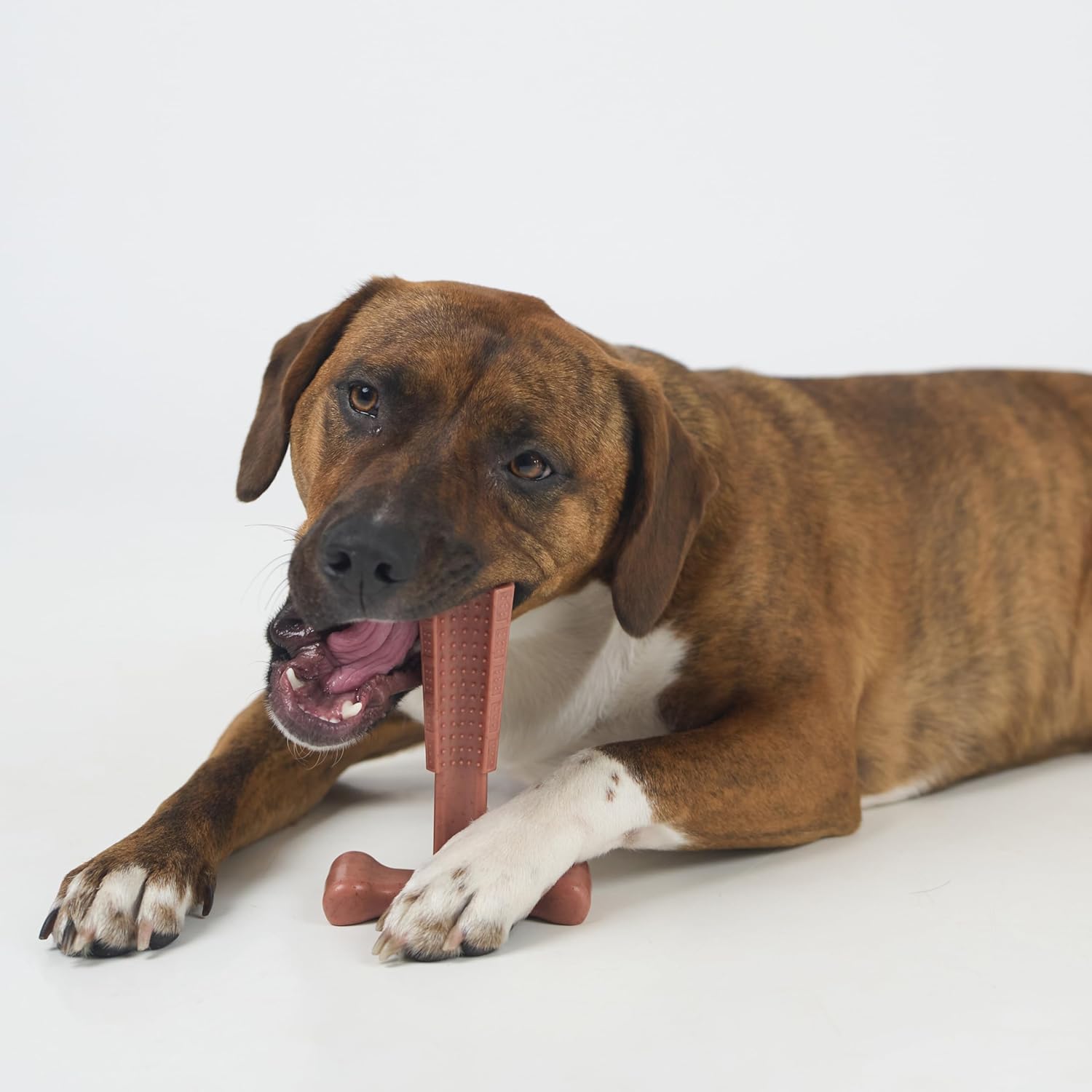 SPOT Bam-Bones Plus T Bone – Bamboo Fiber & Nylon Dog Chew Toy for Moderate to Aggressive Chewers, Durable Long Lasting & Non-Splintering, Beef Flavor Toy for Adult Dogs & Puppies Under 60 lbs, 6 in - Happypetzone.online - Image 13