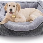 dog bed durable