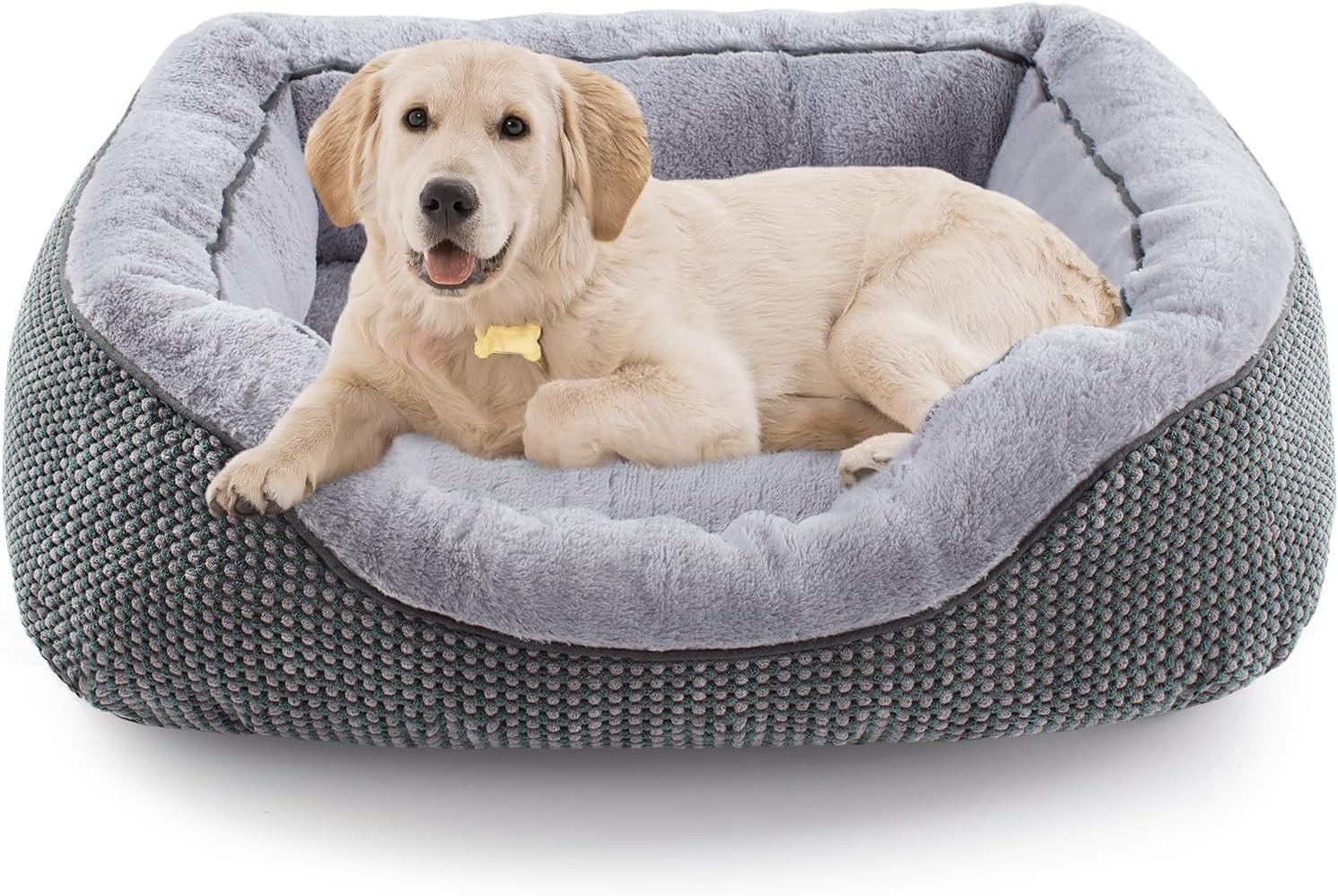 dog bed durable