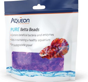 betta fish food