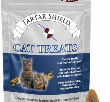 cat dental treats
