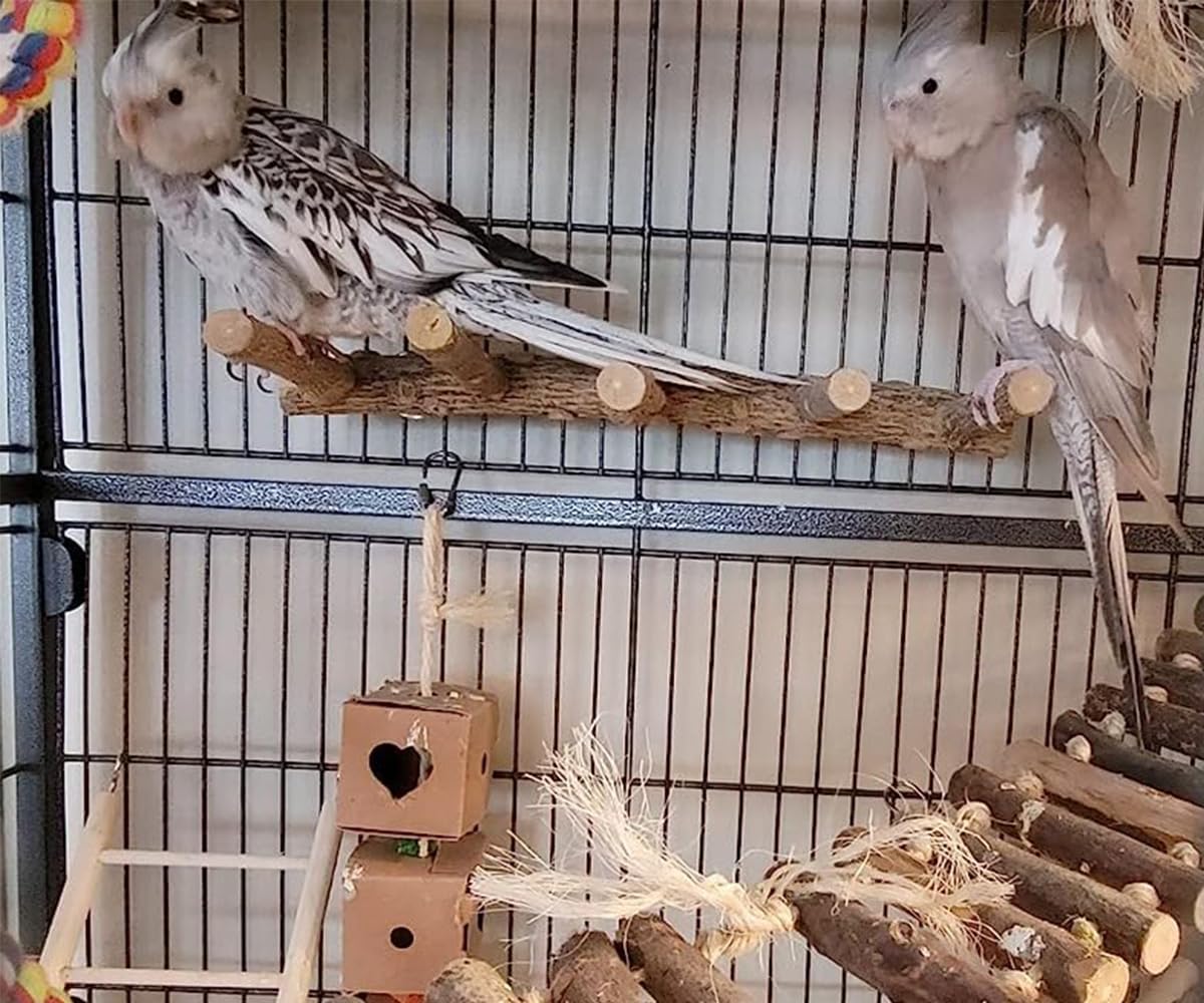Bird Parrot Ladder Perch for Cage, Nature Wooden Bird Bridge Exercise Stands Parrot Climbing Chewing Toys for Small Animal - Happypetzone.online - Image 3